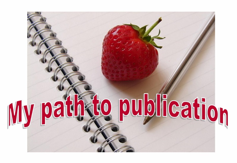 My path to publication (800x551)